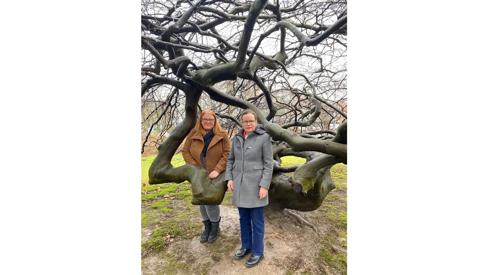 Die Erste Kreisrätin des Landkreises Schaumburg, Andrea Stüdemann und die Geschäftsführerin der Schaumburger Landschaft, Dr. Lu Seegers, rufen vor der Süntelbuche am Kreishaus in Stadthagen zur Bewerbung um den Kulturpreis des Landkreises auf. (Foto: Schaumburger Landschaft)