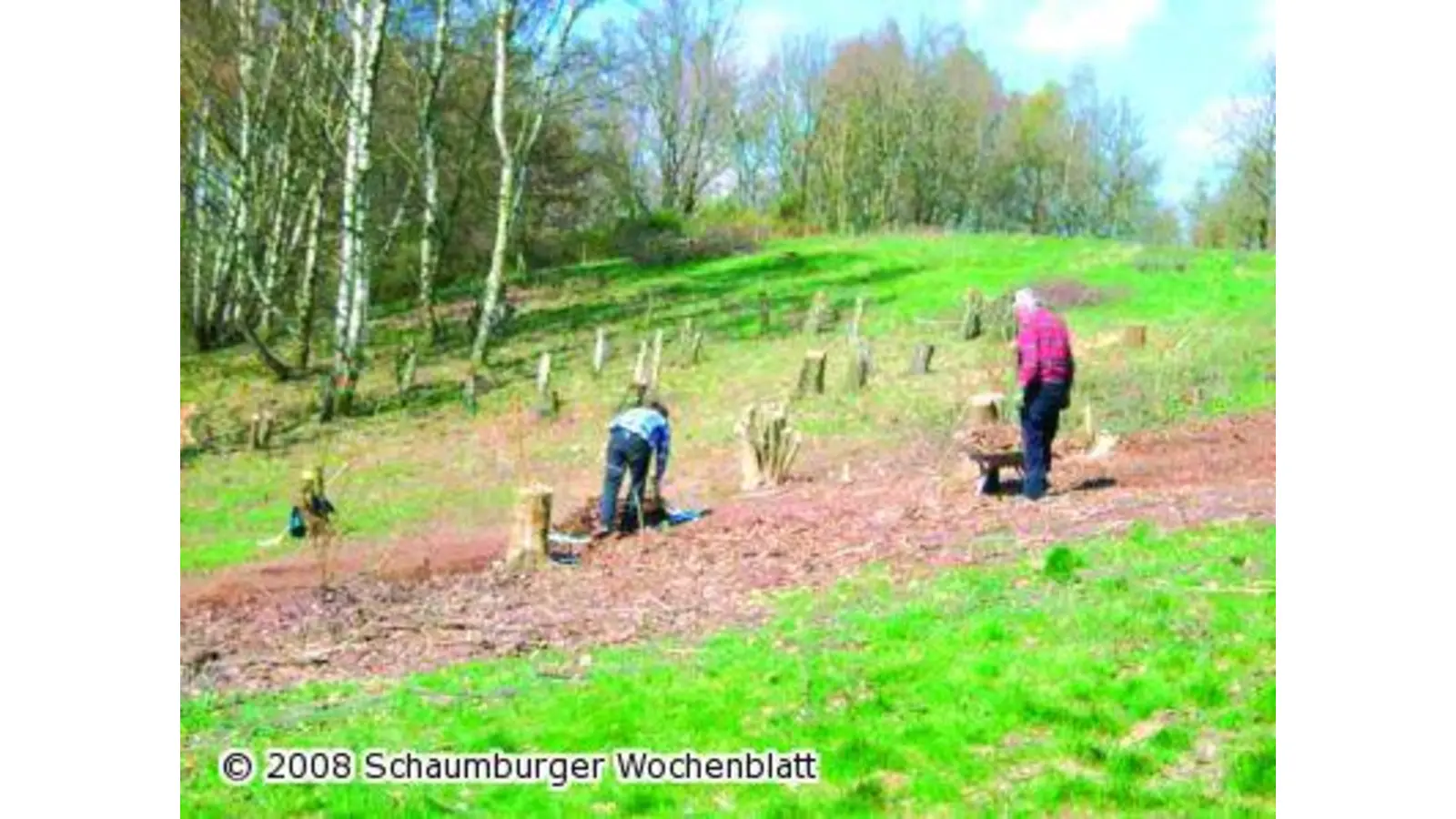 Damit der Rasen mager bleibt (Foto: ste)
