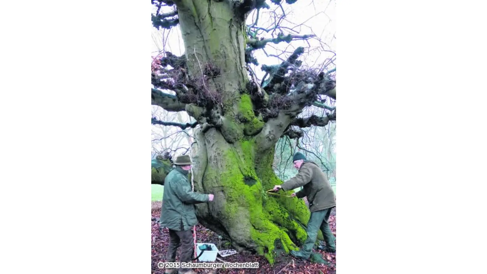 Rekordversuch beim Lauenauer Heimatverein (Foto: red)