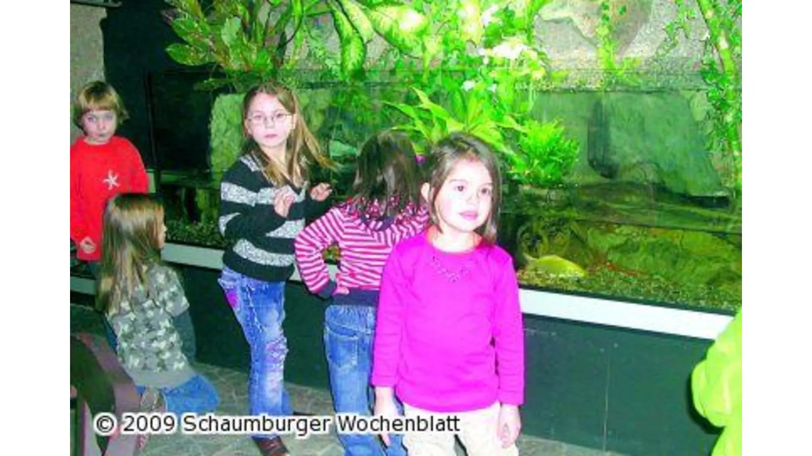 Kinder besuchen Aquarien (Foto: al)
