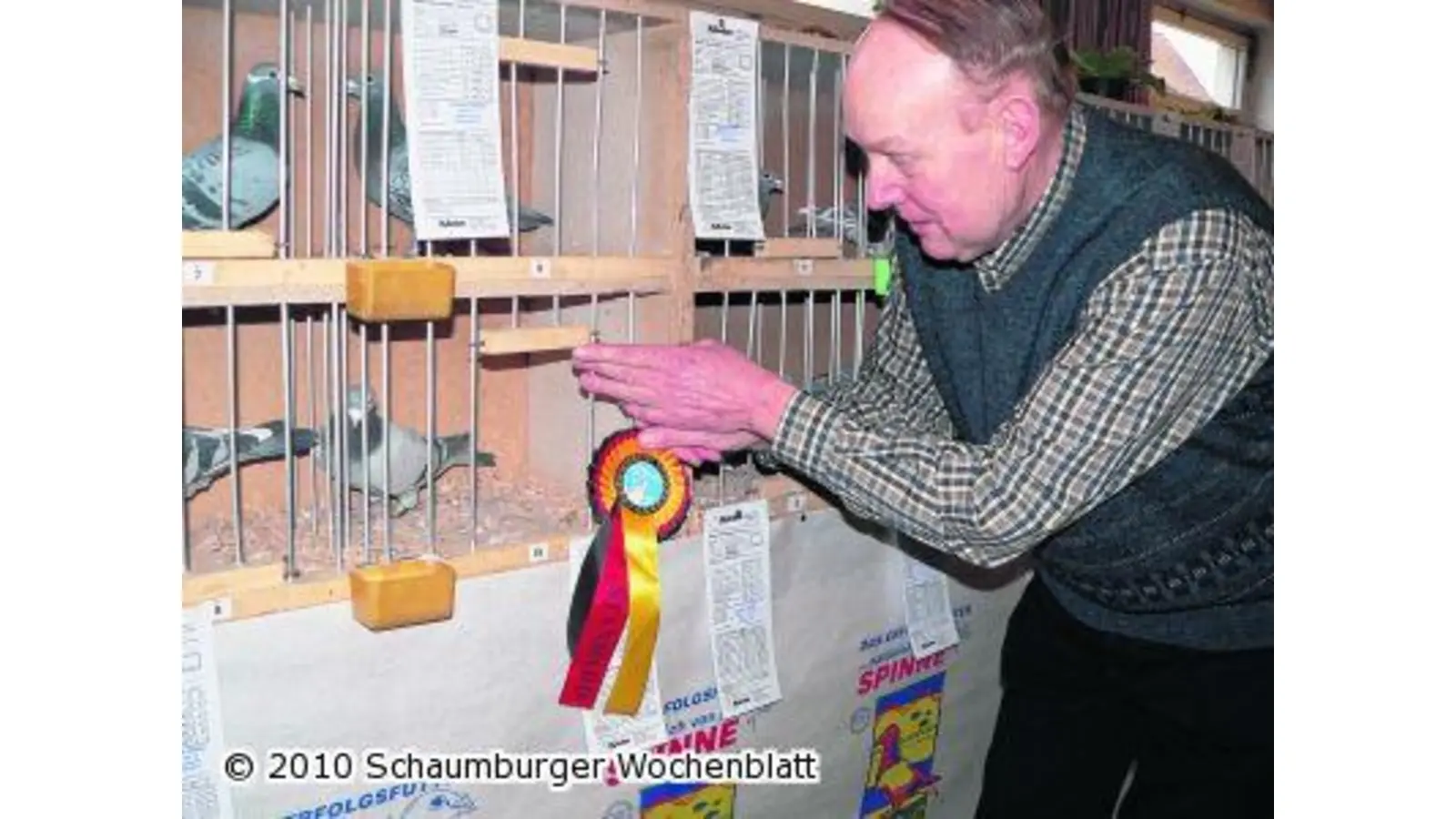 Nur Habicht und Starkstrom beenden die schnelle Rückkehr in den Schlag (Foto: al)