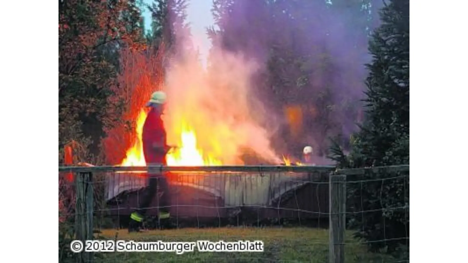 Bienenstock in Flammen (Foto: gi)