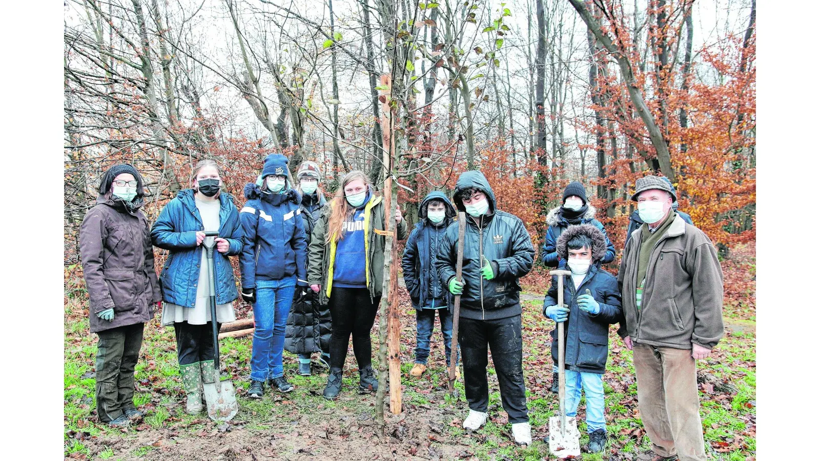 In einer Pflanzaktion bringen Jugendliche der Schule am Deister Obstbäume in den Boden. (Foto: bb)