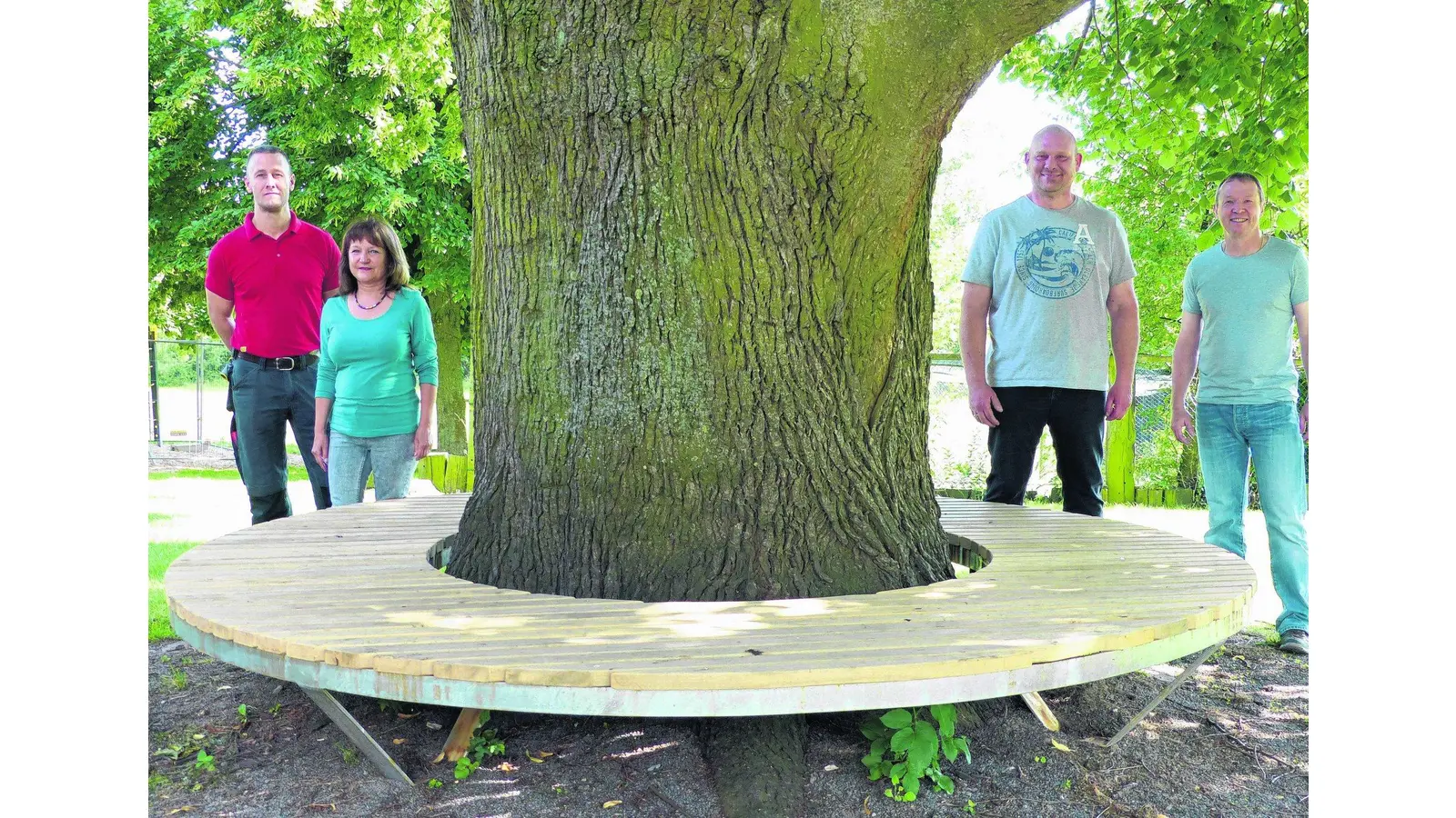 Bank rund um den Stamm (Foto: al)