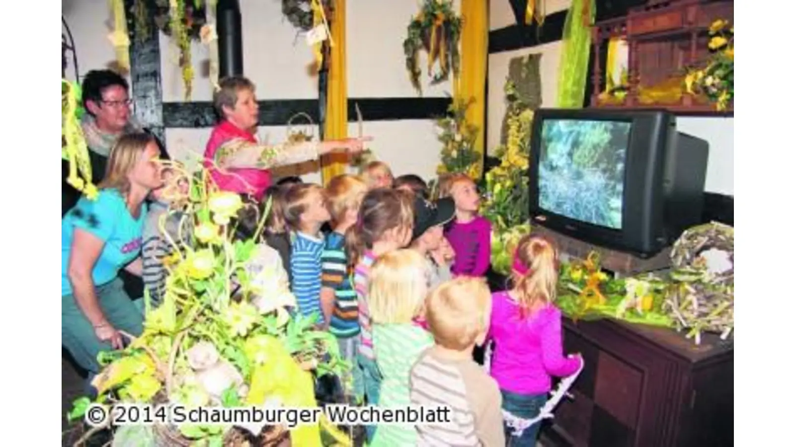 Kindergartenkinder staunen über die vier jungen Störche (Foto: gi)