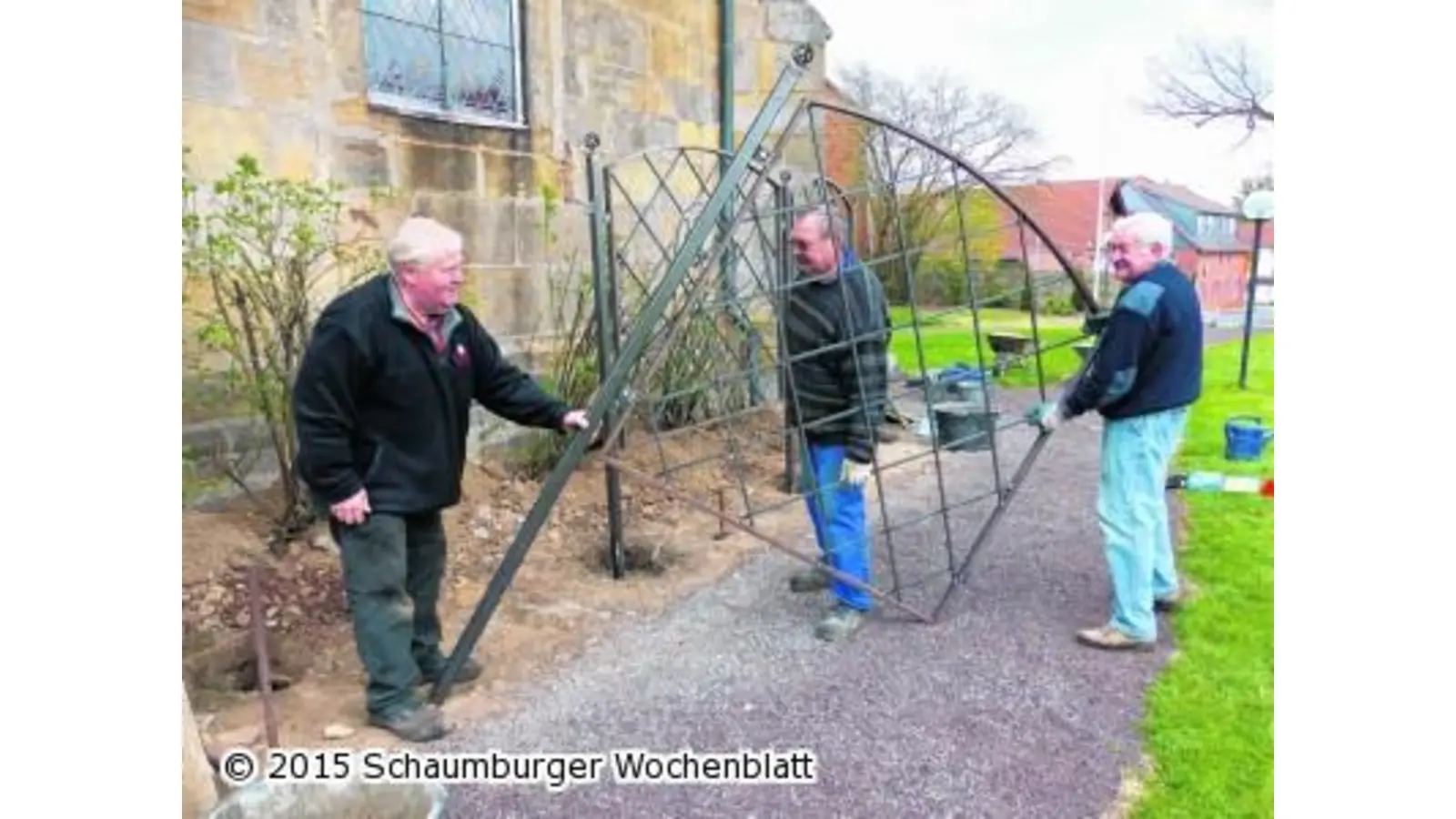 Neuer Schutz für die historische Rose (Foto: al)