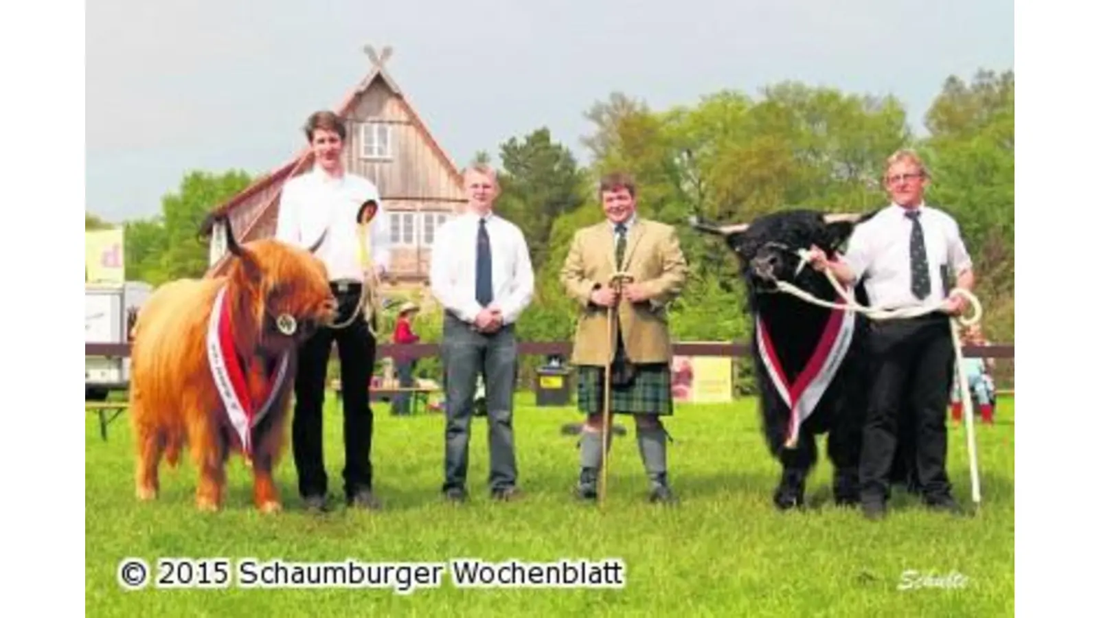 Zottelige Highland Cattles und zahlreiche Traktor-Oldtimer (Foto: ste)