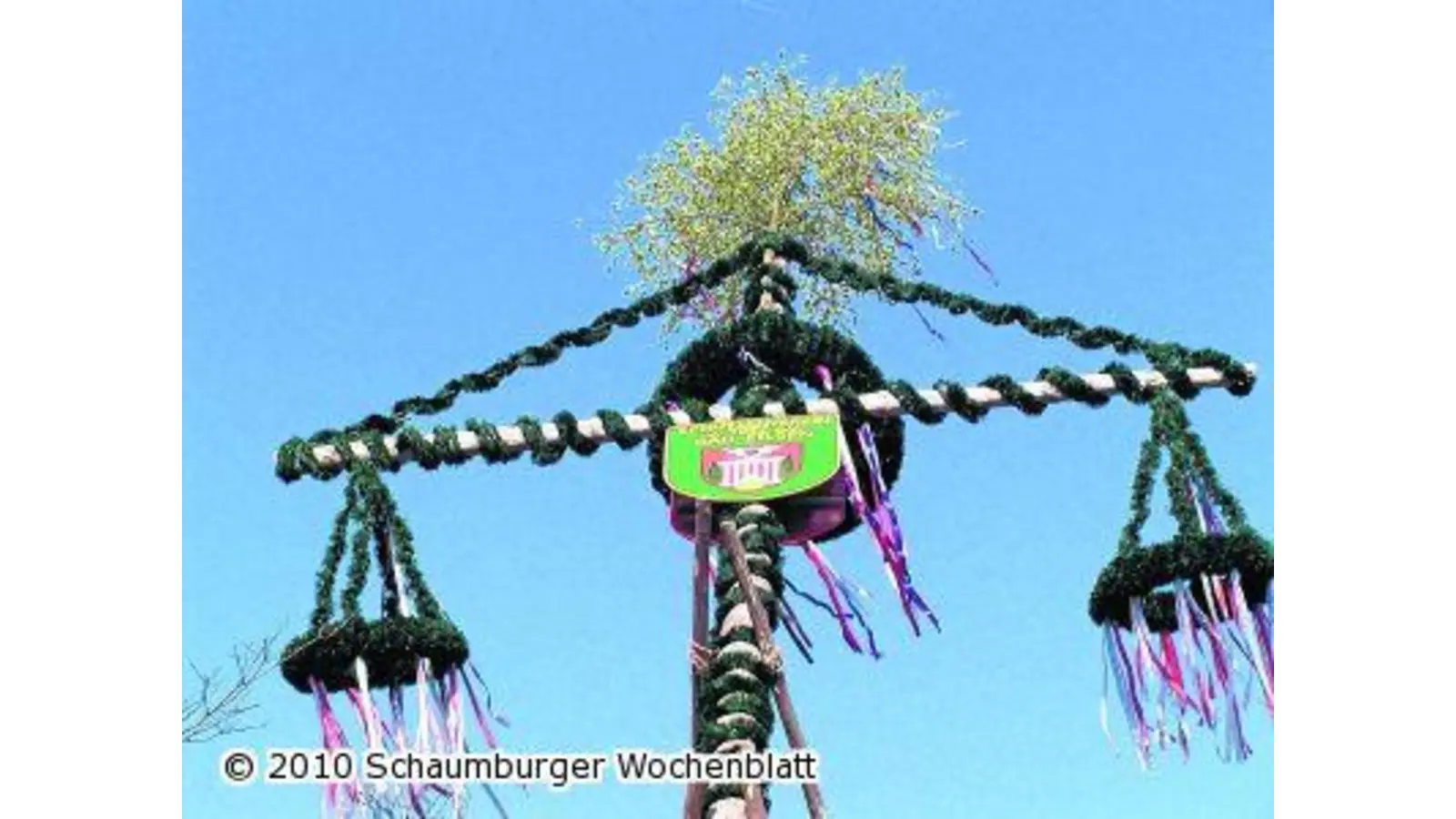 Schützen stellen Maibaum auf (Foto: red)