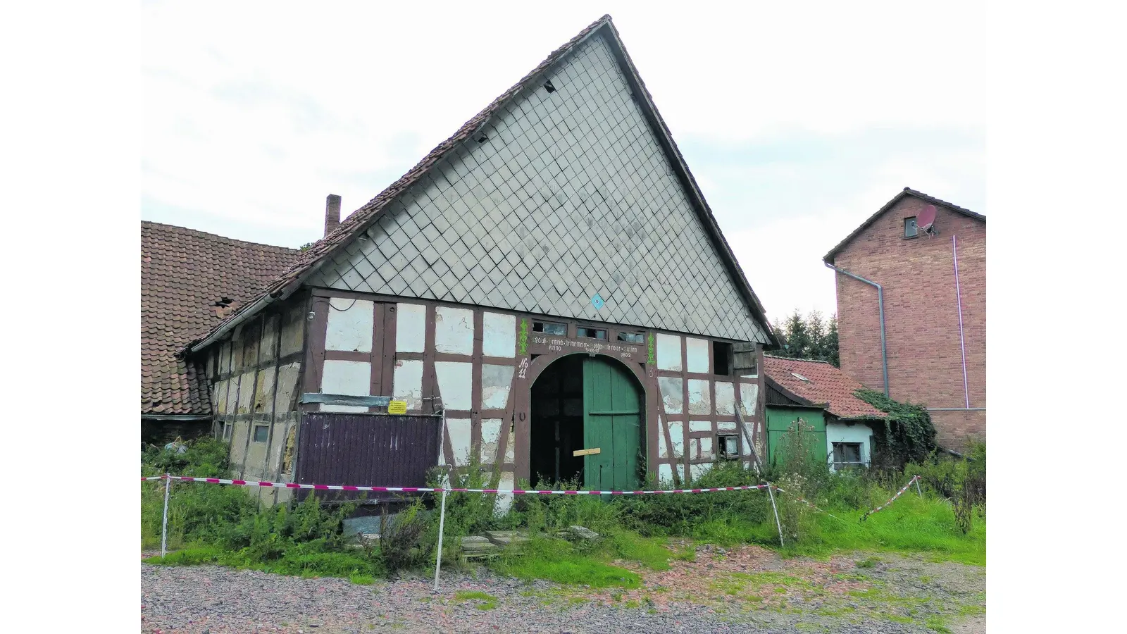 Letzte Chance vor dem Verfall (Foto: red)