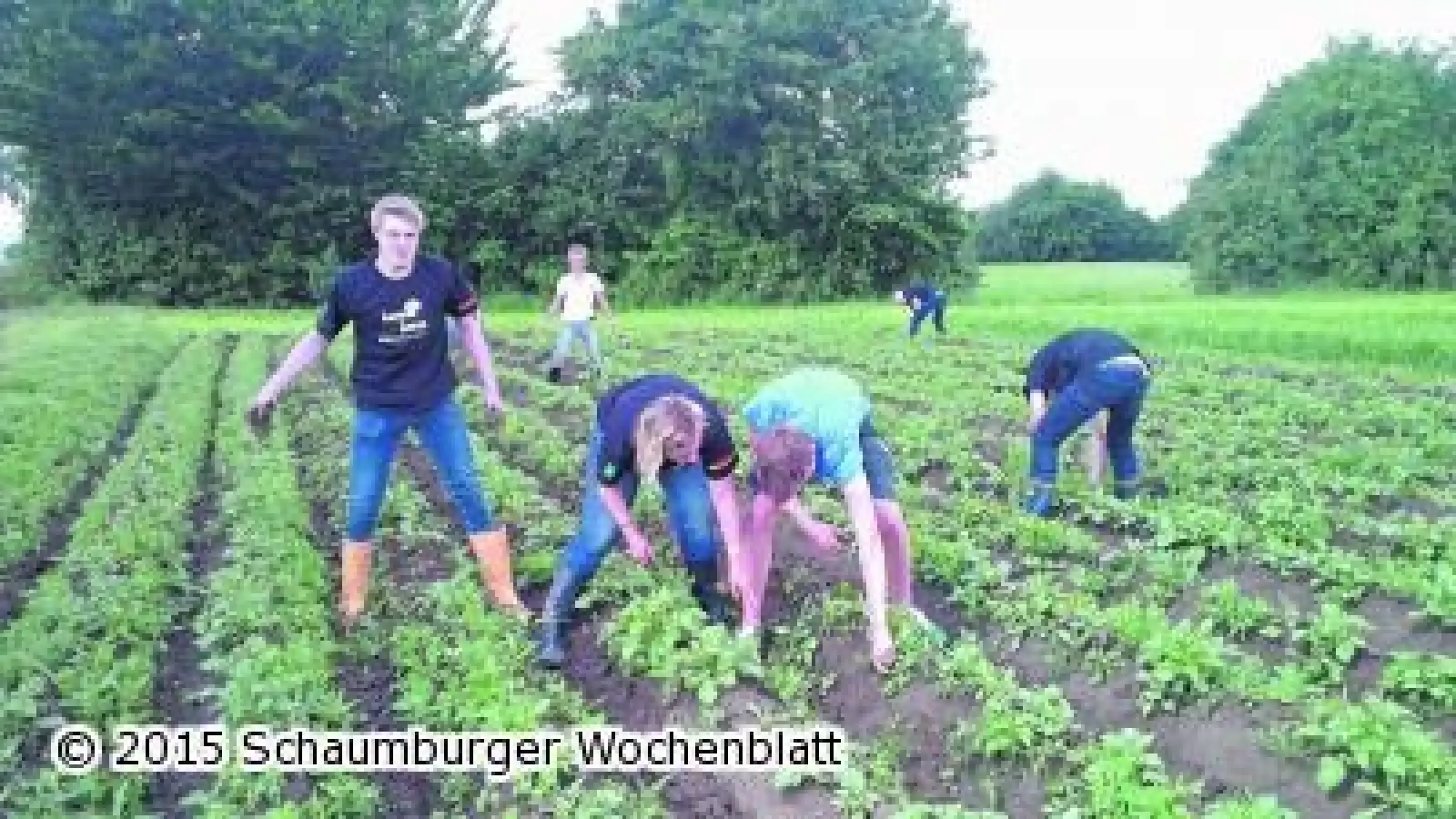 Treckerclub rackert mit Schülern auf dem Acker (Foto: red)