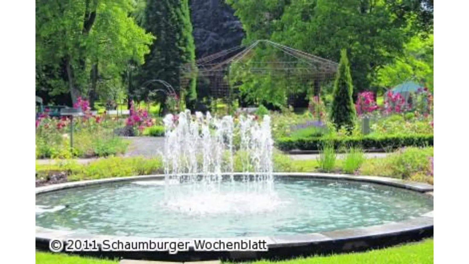 Gemeinde feiert großes Kurparkfest zur Rosenblüte (Foto: red)