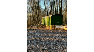 Der Waldkindergarten Bad Eilsen hat einen neuen Trägerverein. (Foto: privat)