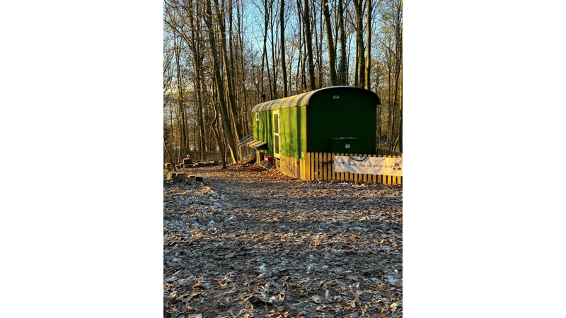 Der Waldkindergarten Bad Eilsen hat einen neuen Trägerverein. (Foto: privat)