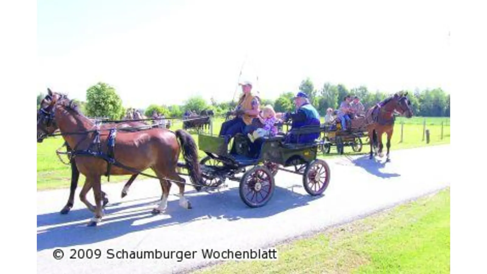 Pfingstausfahrt der Kutscher (Foto: red)