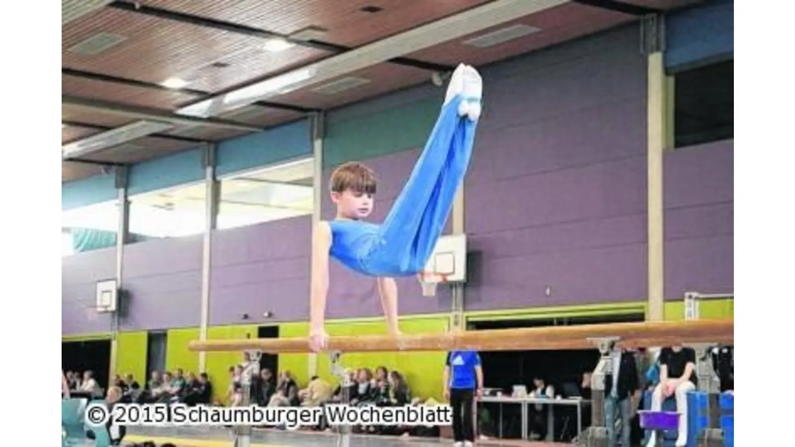 Fünf Titel für Rintelner Turner (Foto: ste)