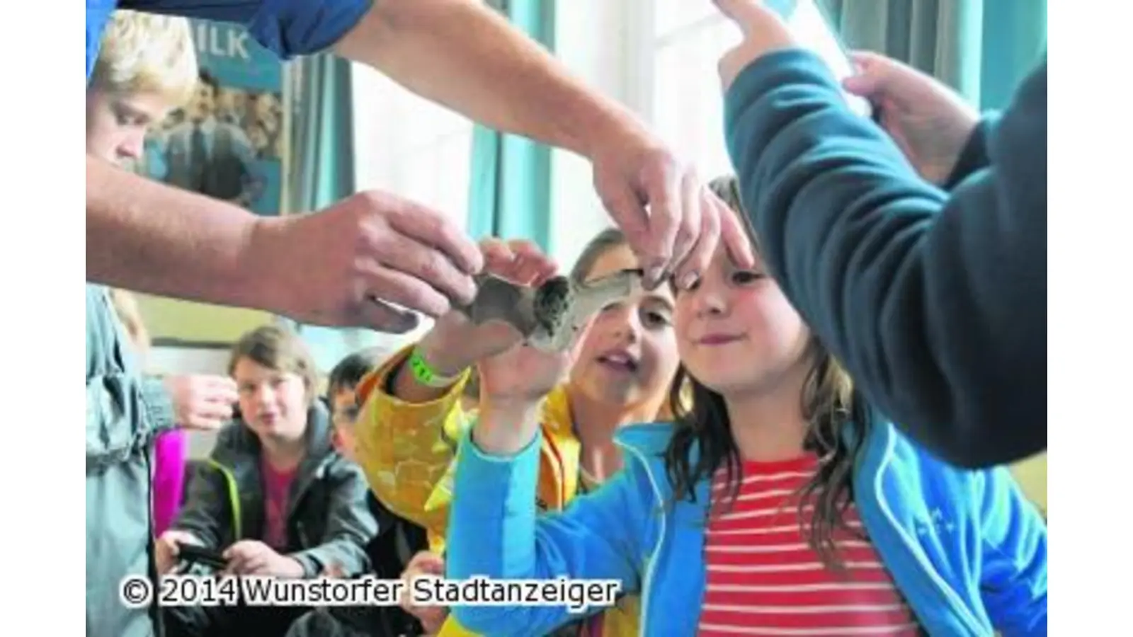 Den Fledermäusen mit Batdetektor auf der Spur (Foto: r)
