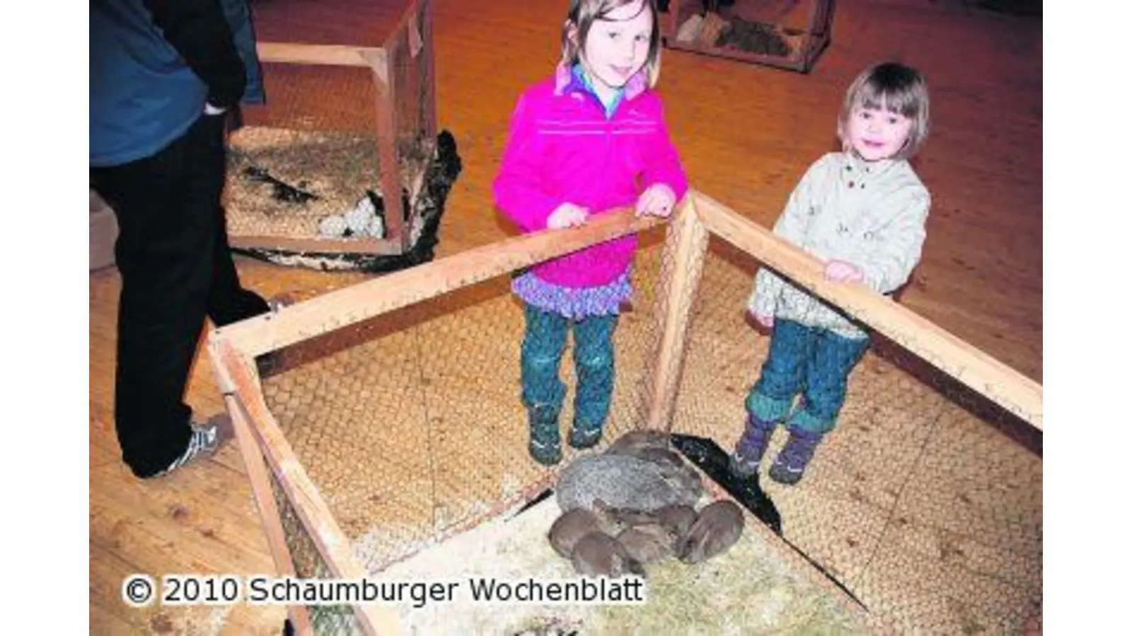 Besucher interessieren sich für die Kaninchen (Foto: red)