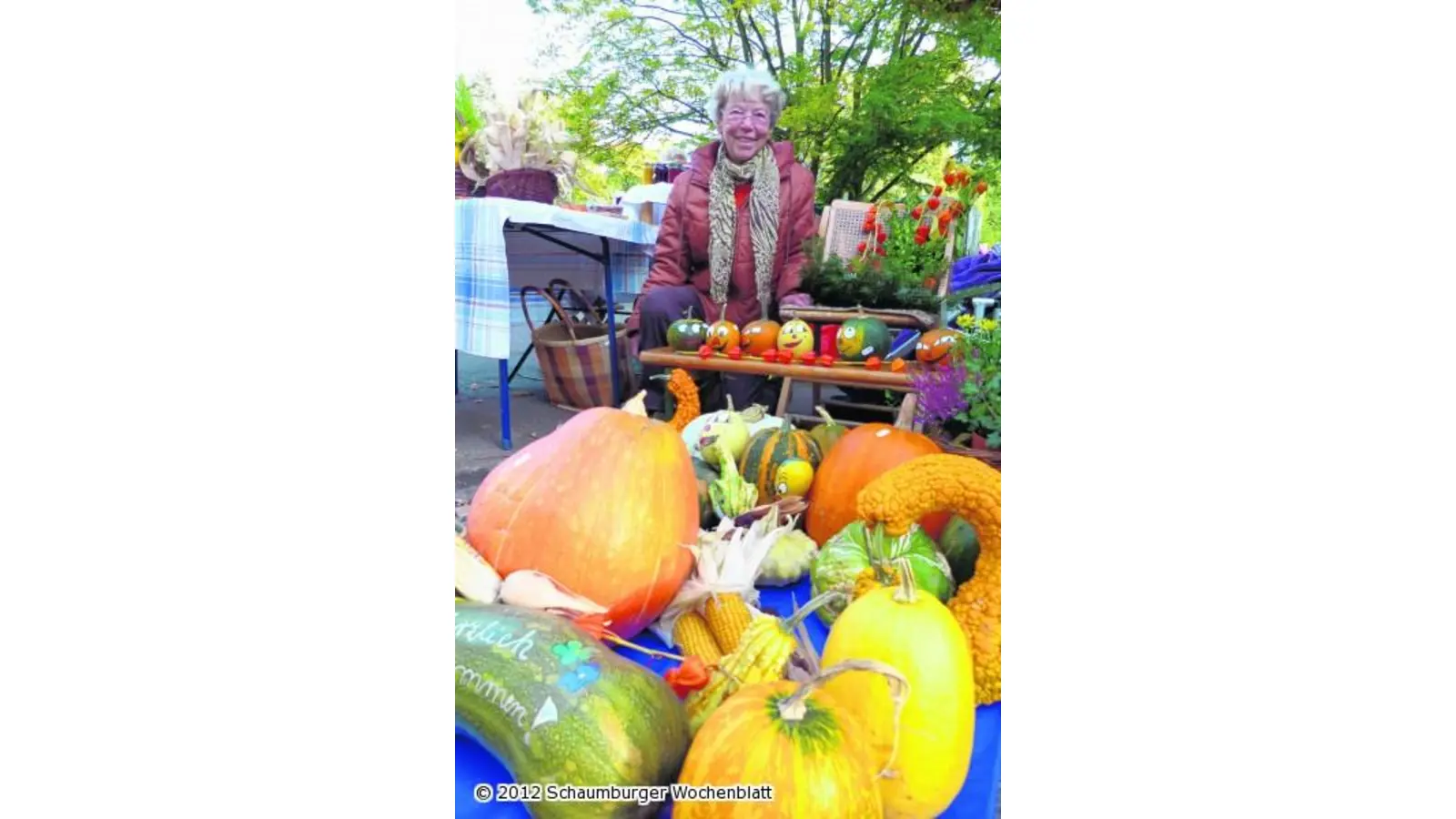 Mit Hörnern und Frische im Gänse-Anmarsch (Foto: red)