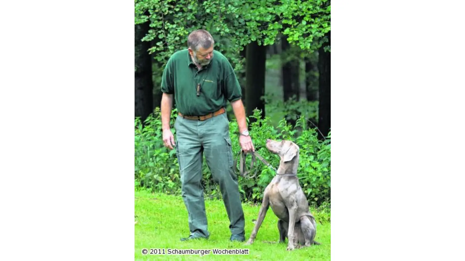 Sommerfest lockt viele Gäste in den Wald hinein (Foto: bb)