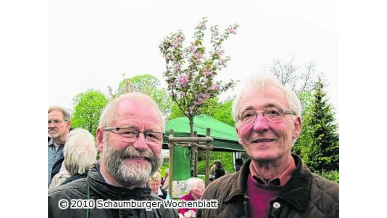 Kirschblütenfest geht in die zweite Runde (Foto: jl)