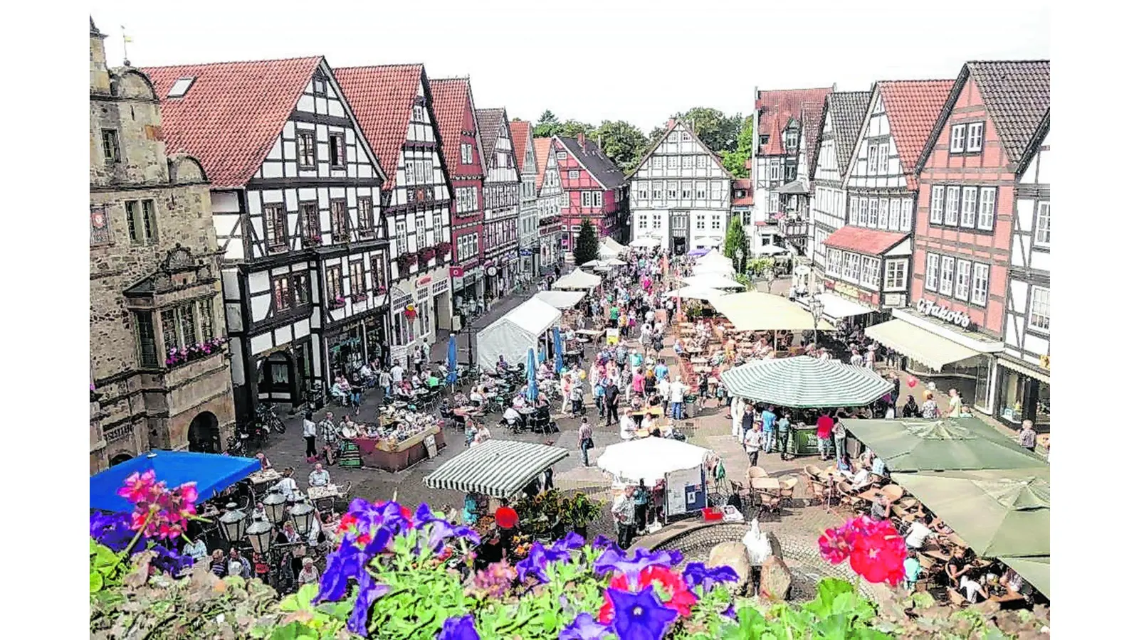 Lebendige Vielfalt genießen (Foto: ds)