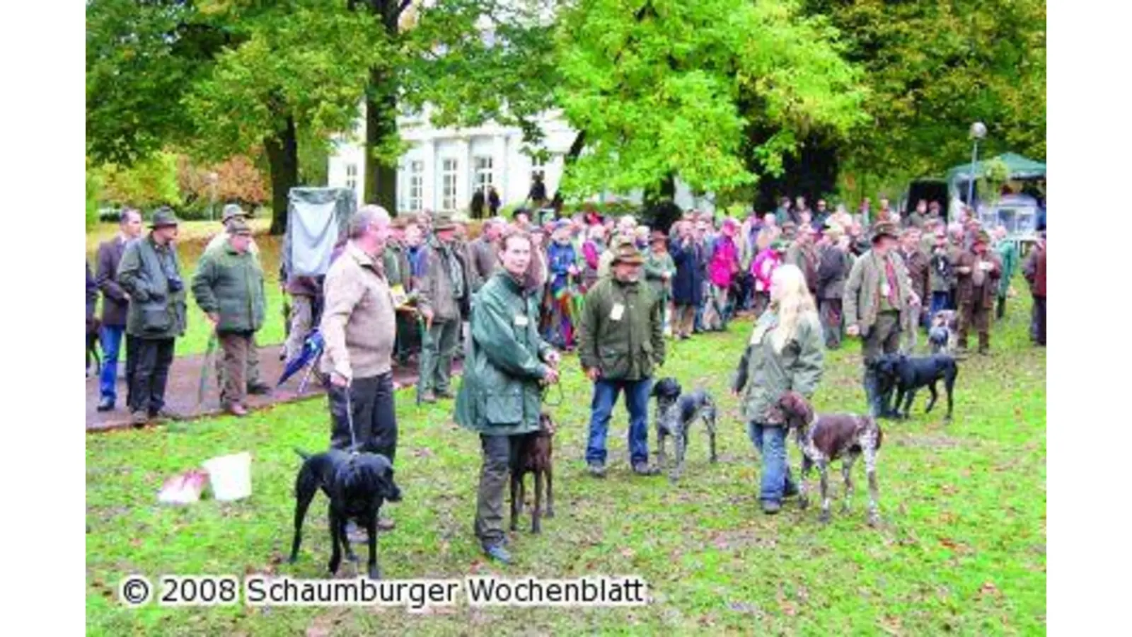 Verregneter Auftakt für Hunde und Führer (Foto: pd)