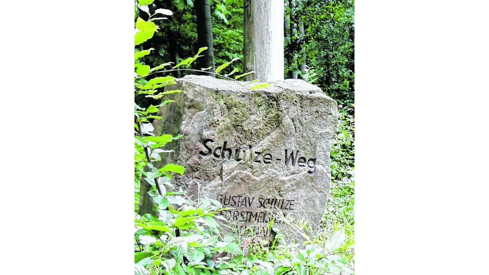 Alte Fotos rücken ein Denkmal in den Blick (Foto: al)