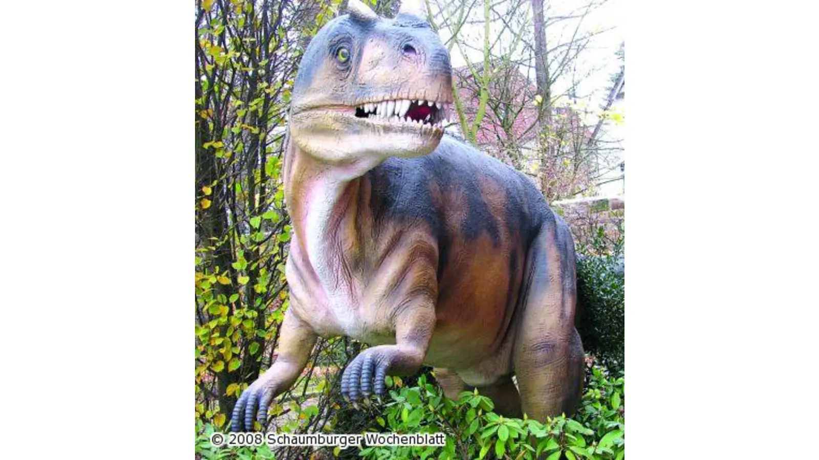Spektakuläre Monster und Fossilien von besonderer wissenschaftlicher Bedeutung (Foto: km)
