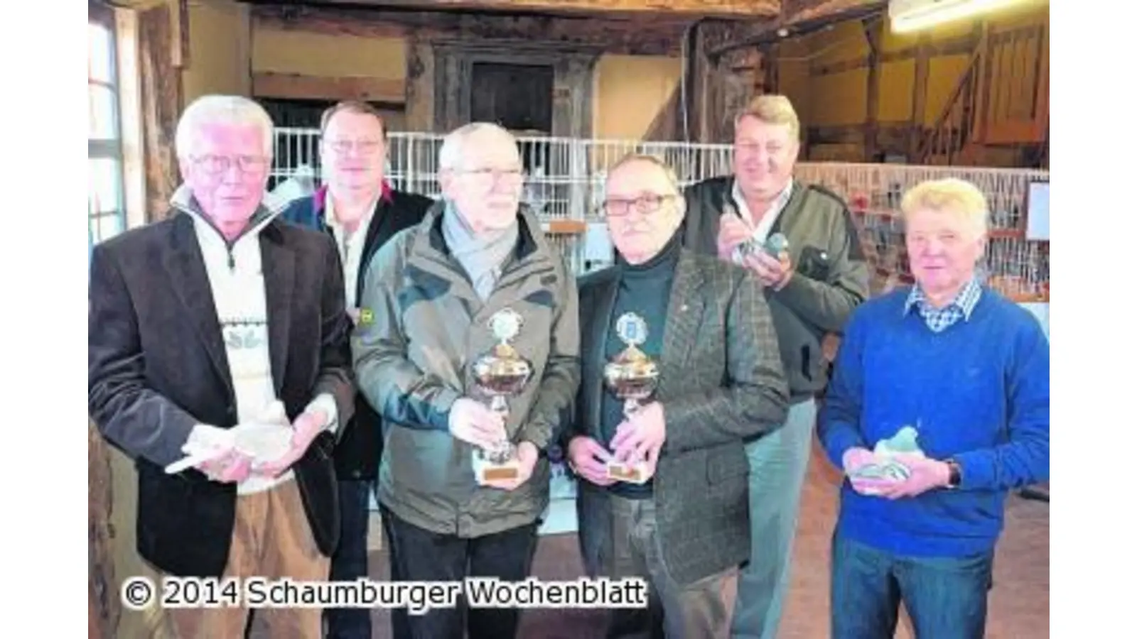 108 Tauben wetteifern um die Titel (Foto: red)