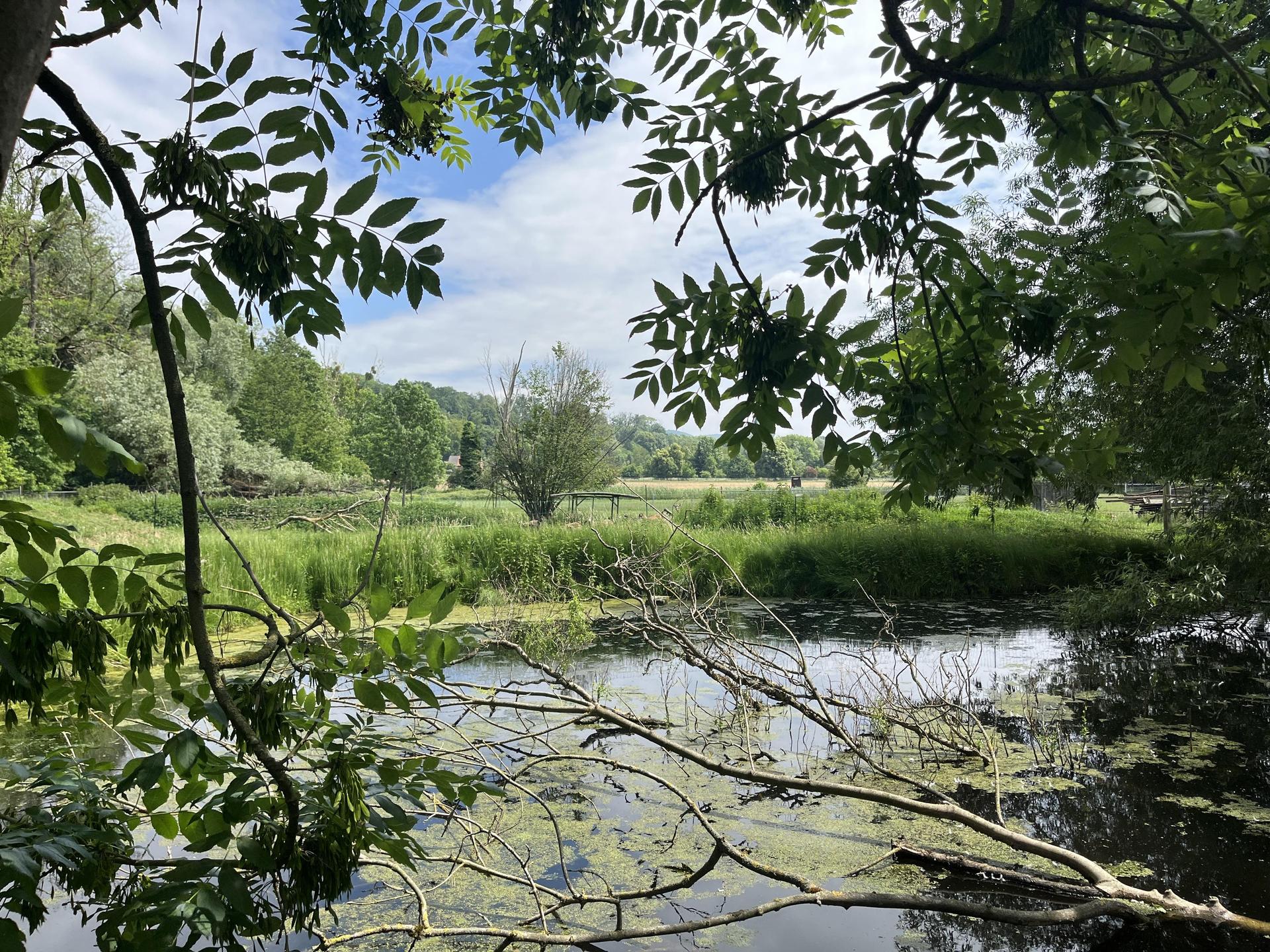 An der Jagdhütte. (Foto: nd)