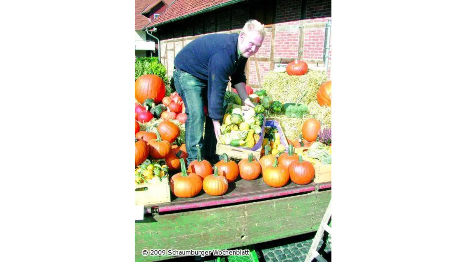 Von Knolle bis Kürbis (Foto: red)