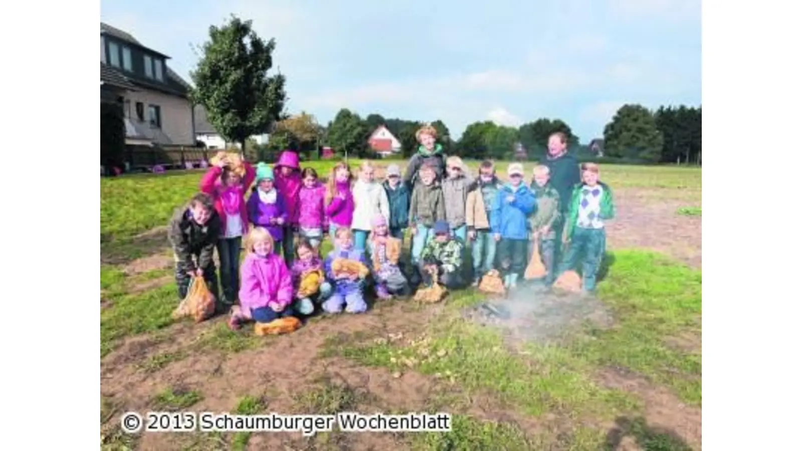 Alles dreht sich um die tolle Knolle (Foto: pd)