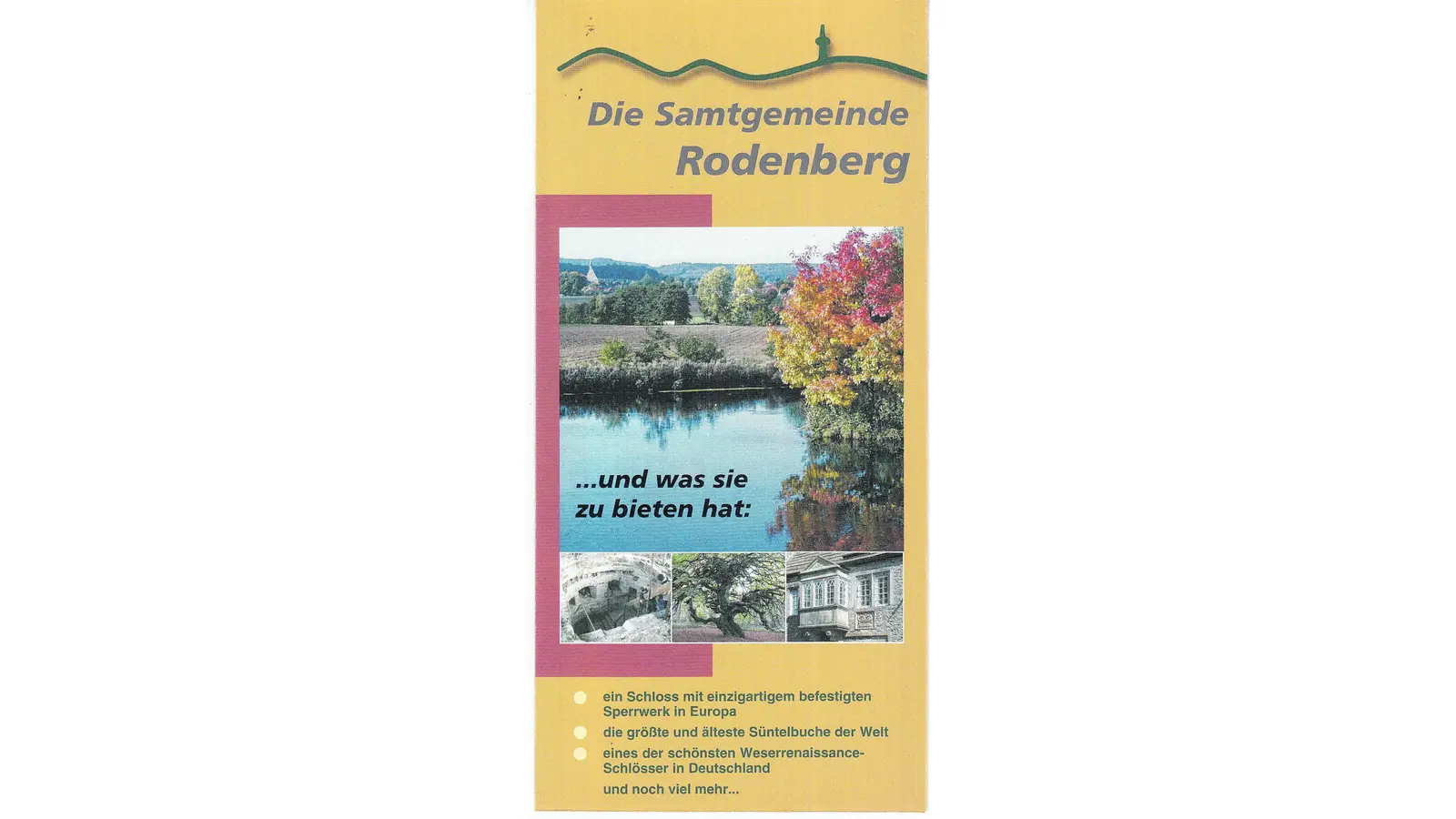 Krachende Pleite für ersten Logo-Versuch (Foto: al)