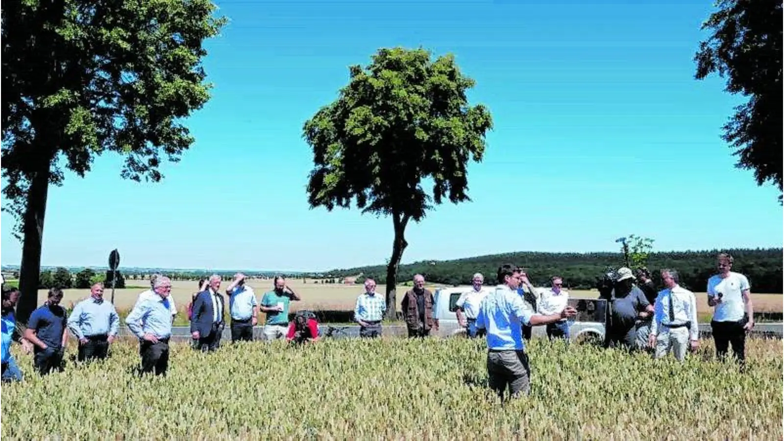 Die Ernte startet früh und enttäuschend (Foto: mm)