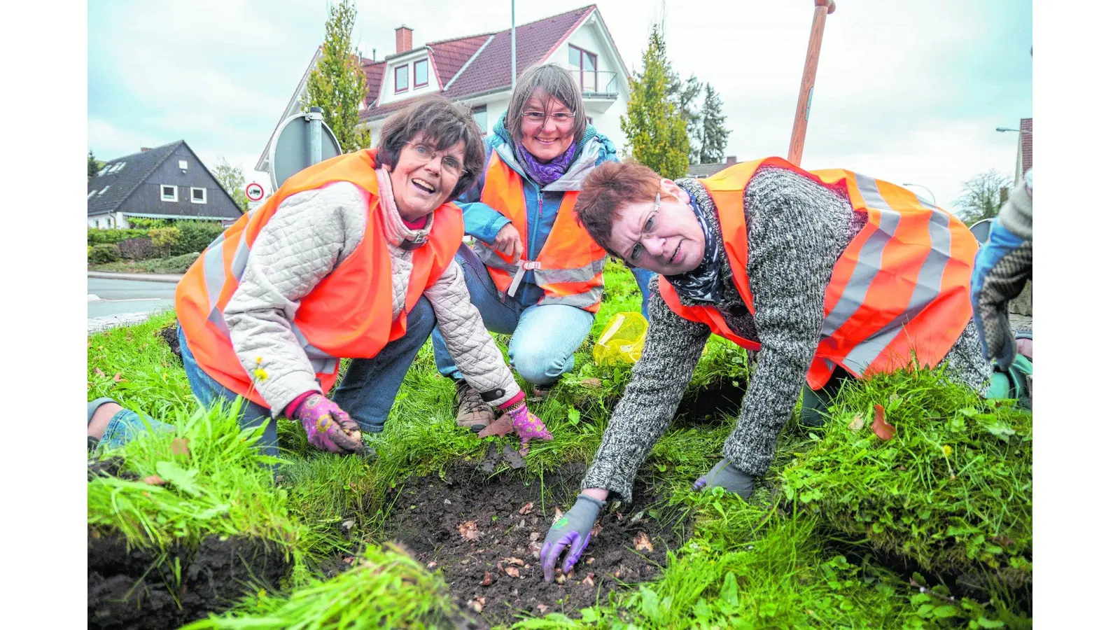 Zwiebeln für mehr Blüte im Frühjahr (Foto: wa)
