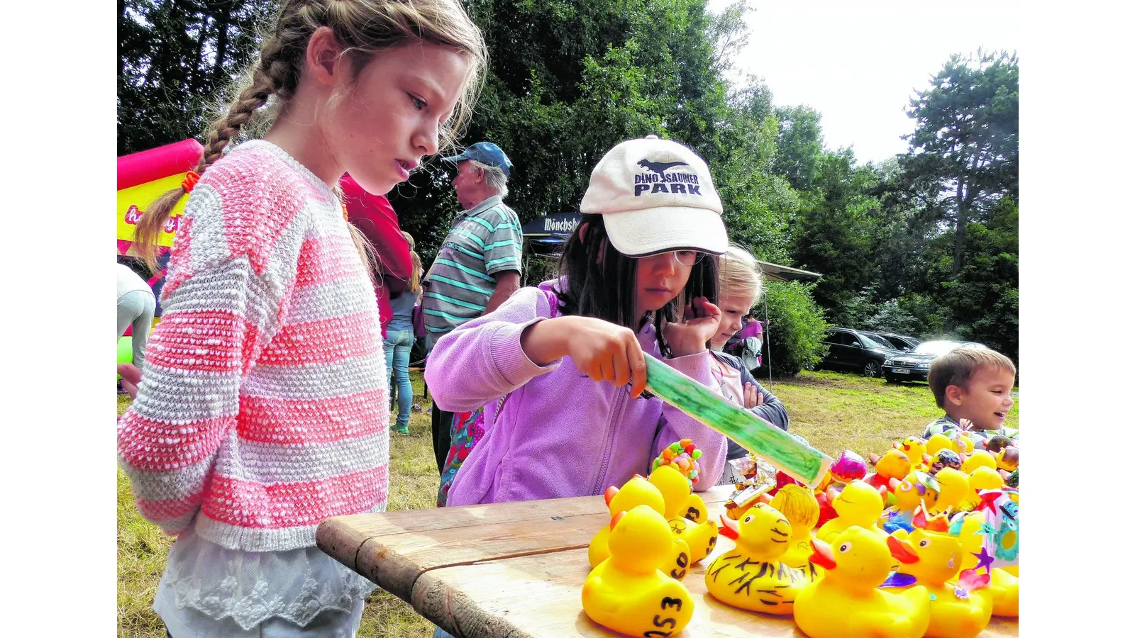 Enten taumeln durch wilde Strudel (Foto: al)