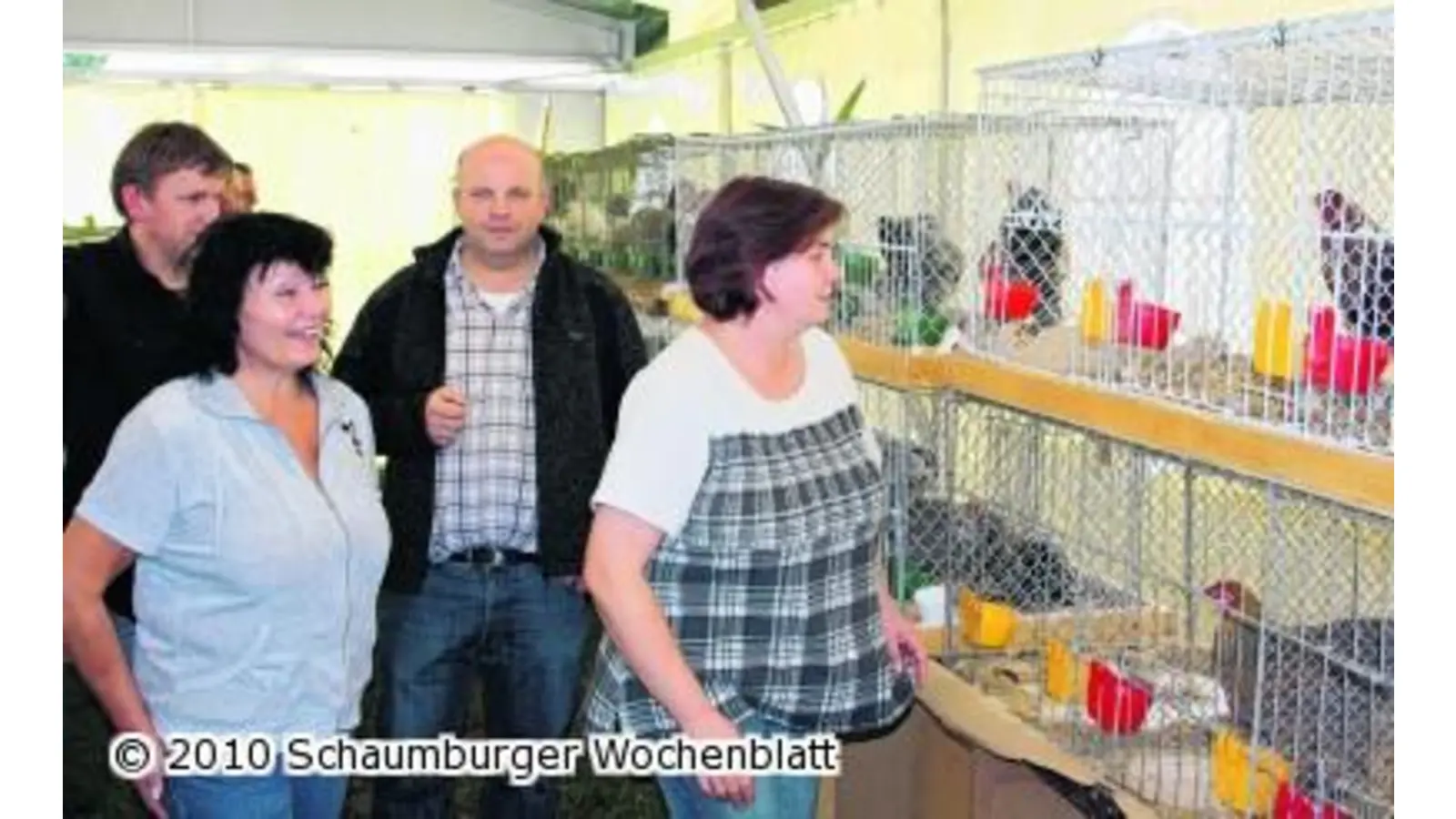 Beim Rassegeflügeltag sind viele Tiere zu sehen (Foto: pp)