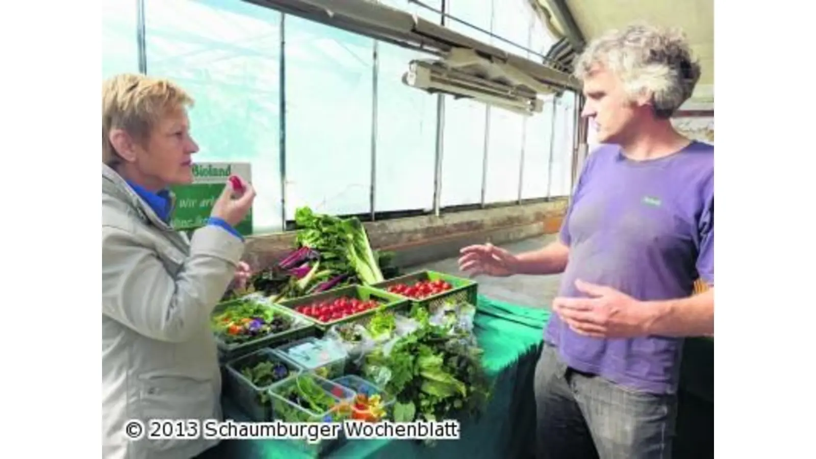 Renate Künast offenbart Kochbuch-Pläne (Foto: red)