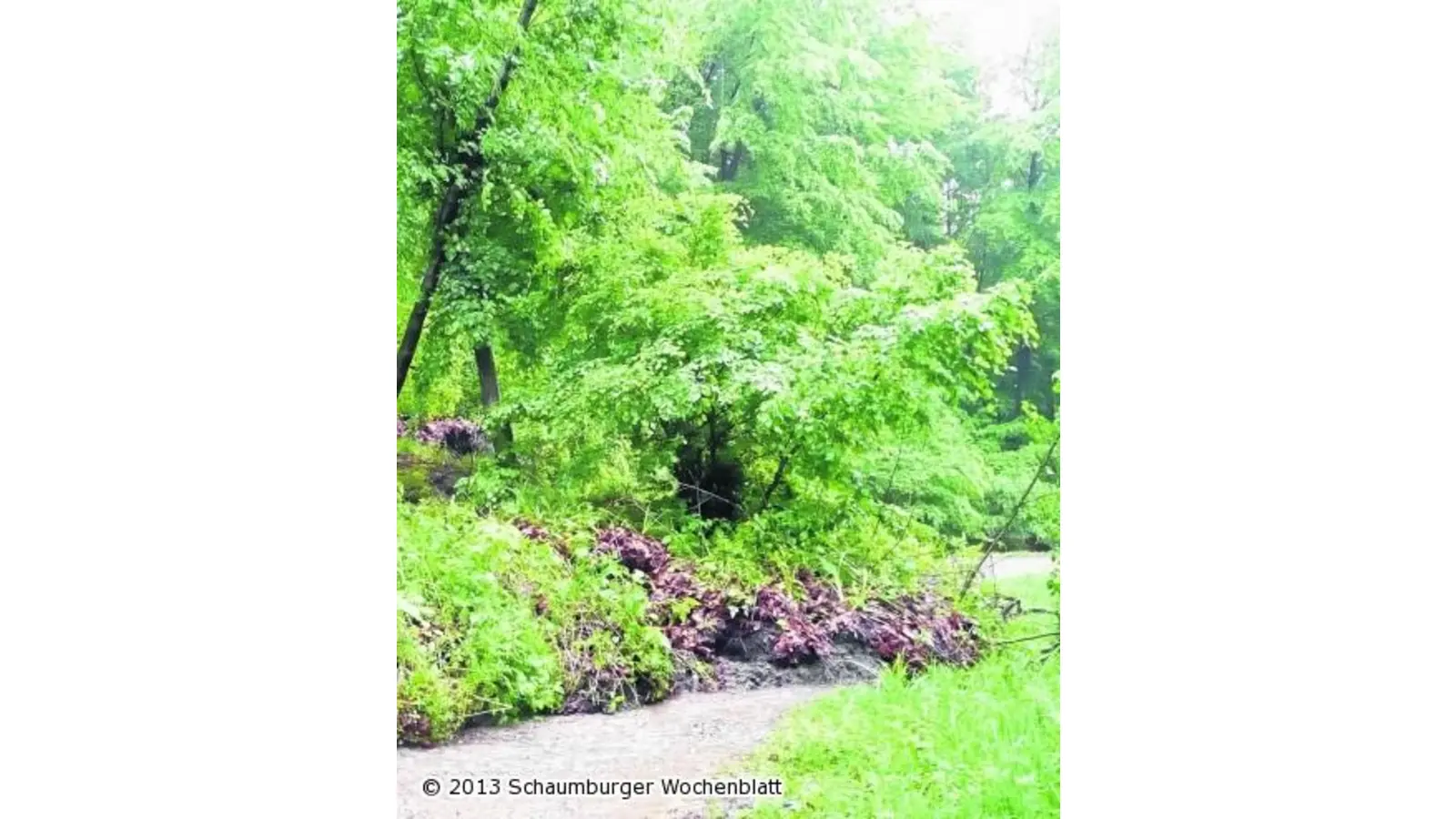 Gefahr am Schraubeweg (Foto: al)