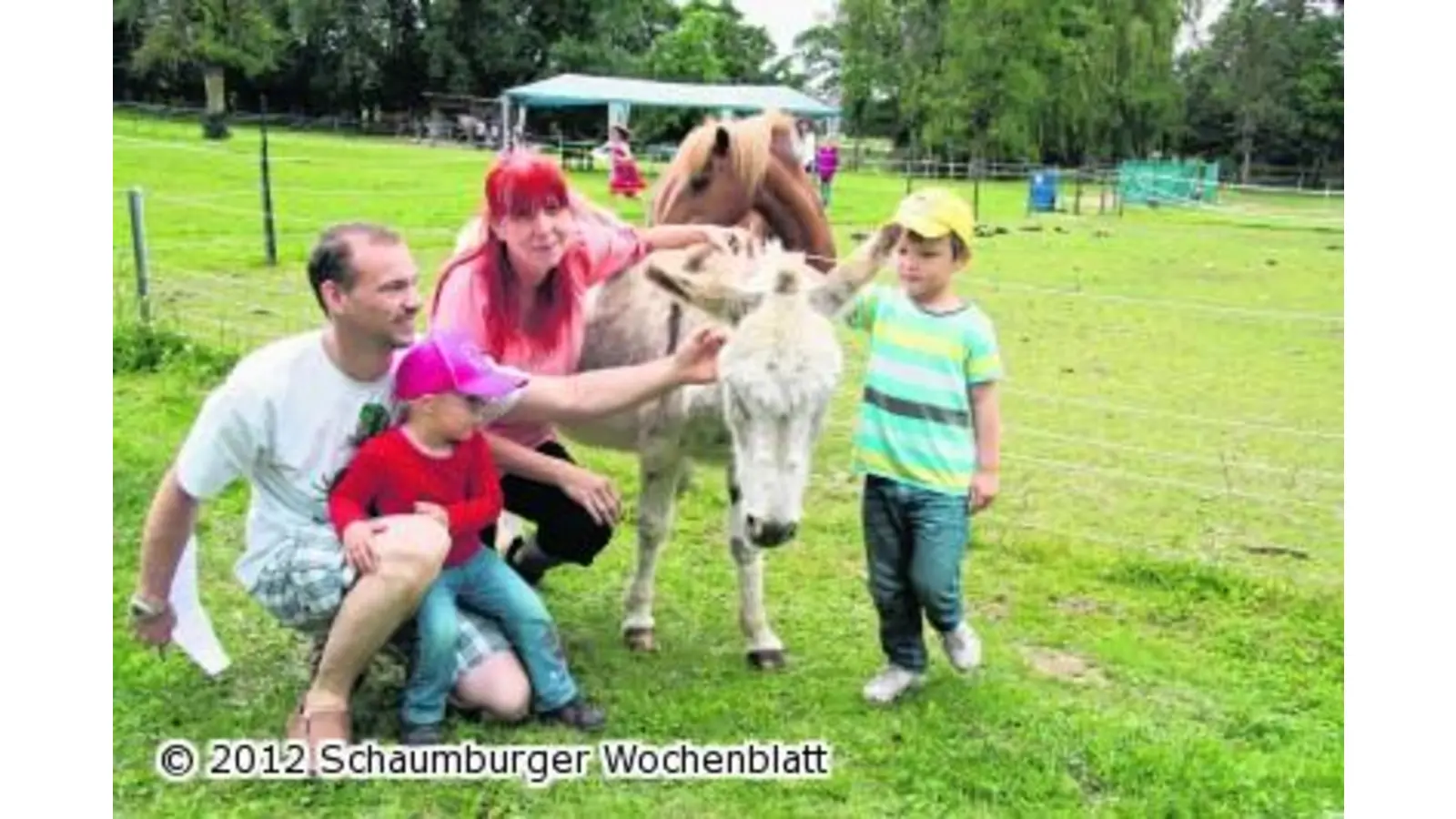 Offene Tür auf dem Gnadenhof für Nutztiere (Foto: gi)