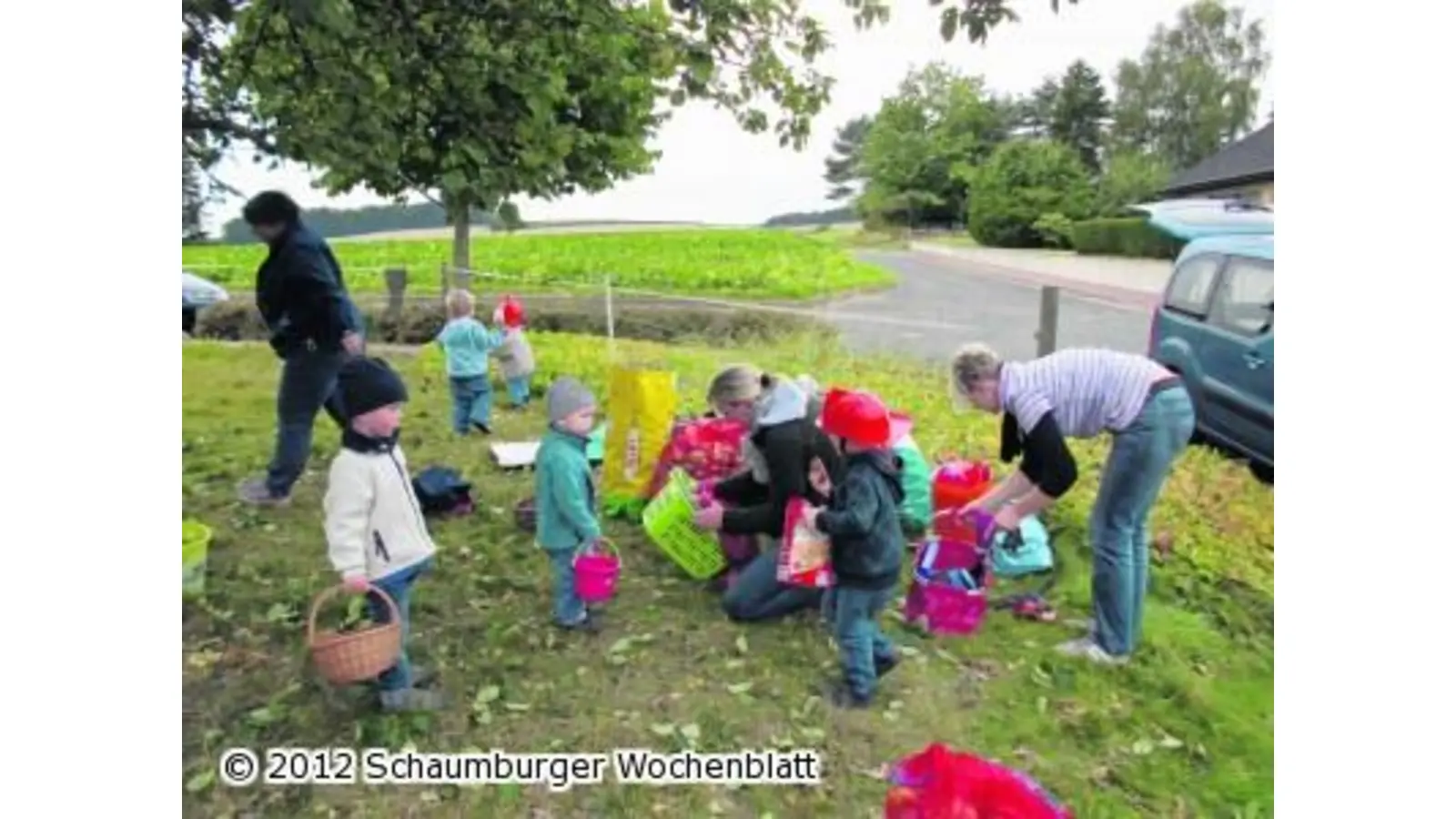 Kinder helfen bei der Ernte (Foto: em)