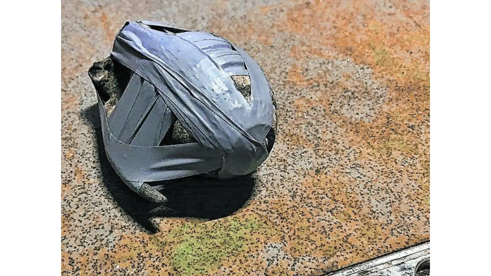 Handgranate in der Uferböschung gefunden (Foto: ste)