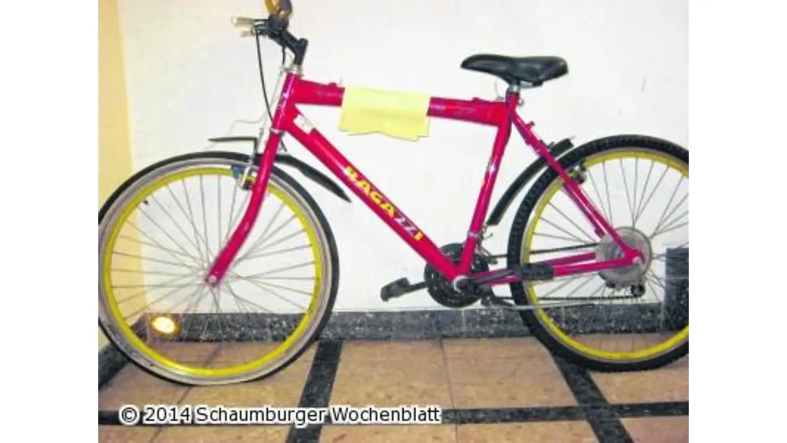 Rasante Flucht über Zäune und durch Gärten (Foto: mk)