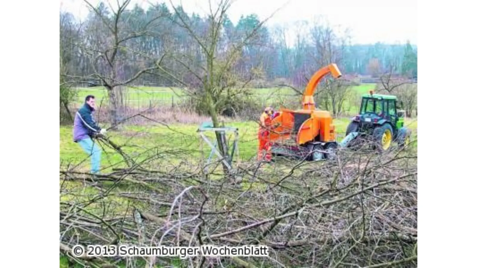 Holzschnitzel als Spinnenbiotop (Foto: ste)