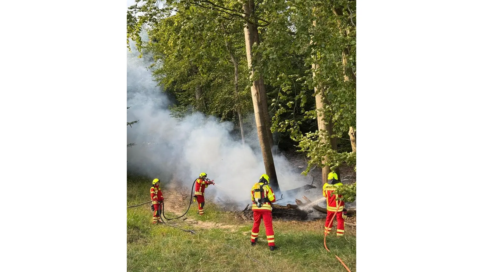 Waldbrand rechtzeitig gelöscht. (Foto: privat)