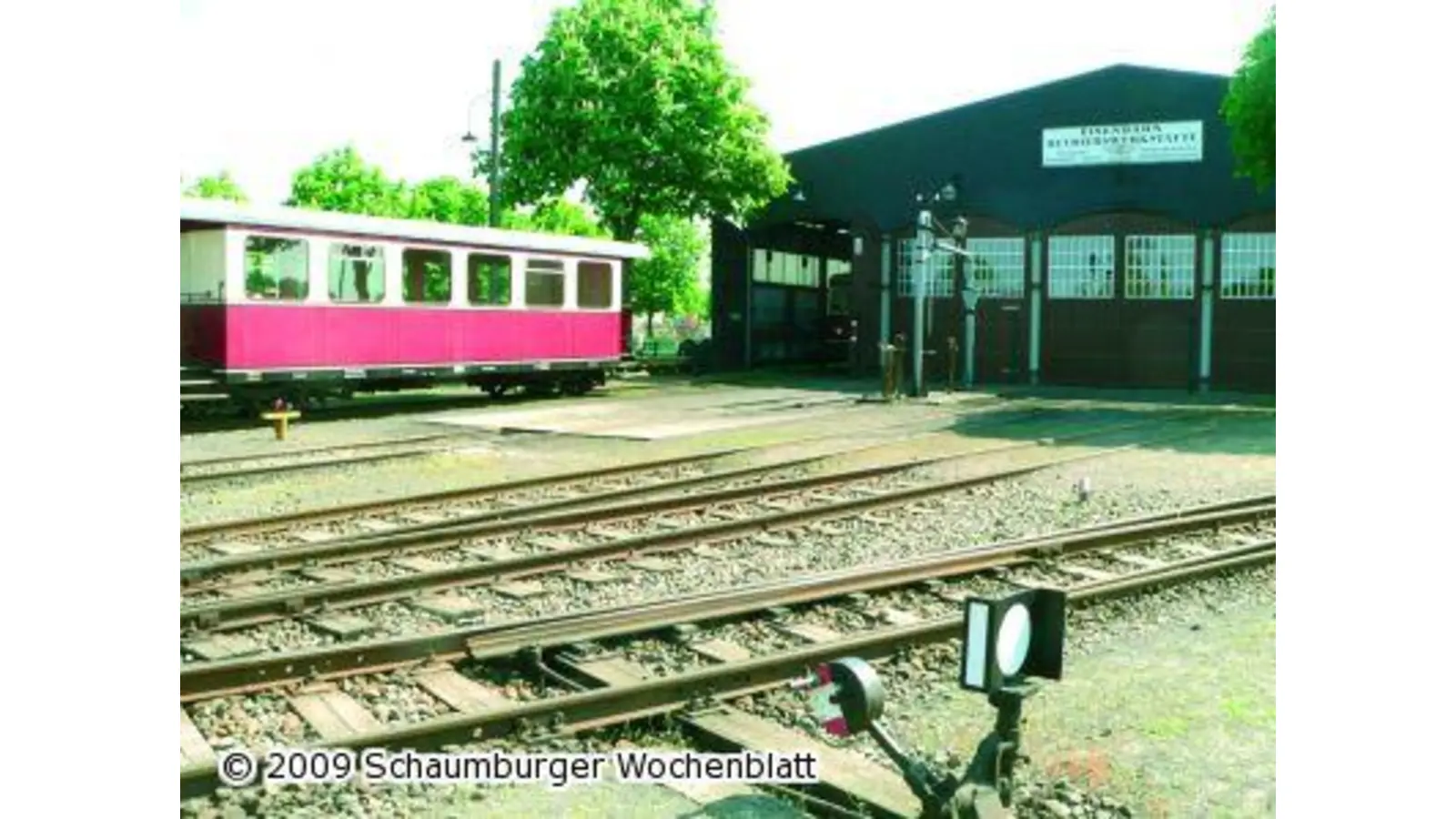 Mit Kohlekraft zum Kohlessen (Foto: al)