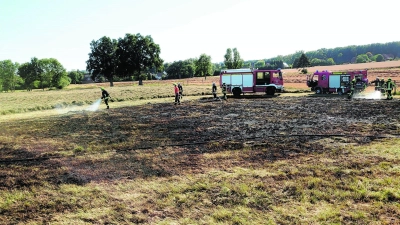 Feuerwehr löscht einen Flächenbrand (Foto: mk)