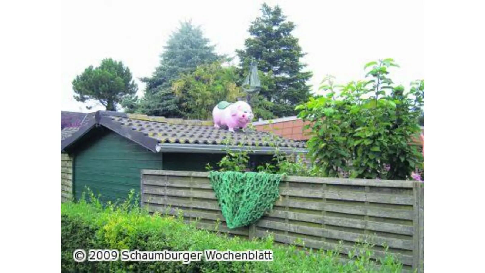 Das Glücksschwein grüßt alle Leser (Foto: red)