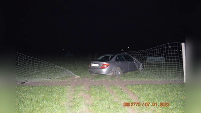 Das Fahrzeug stoppte erst auf dem Gelände einer Hühnerfarm. (Foto: privat)