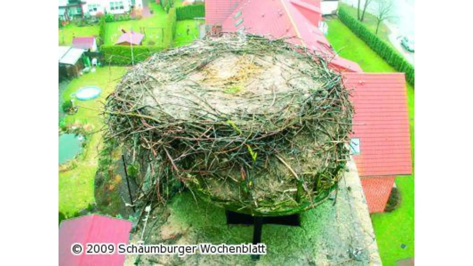 Quartier fit zum Brüten (Foto: red)